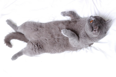 Similar image 11127152