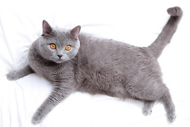 Similar image 11127154