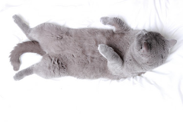 Similar image 11127156