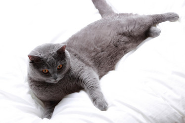 Similar image 11127158