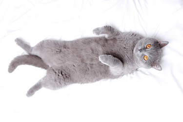 Similar image 11127215