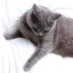 Similar image 11138527