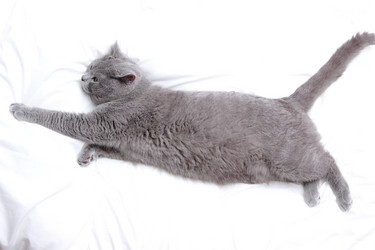 Similar image 11138529