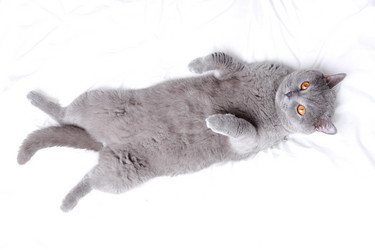 Similar image 11138530