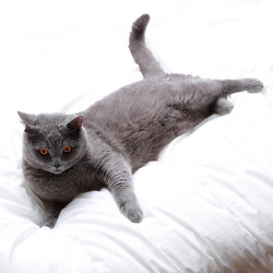 Similar image 11138531