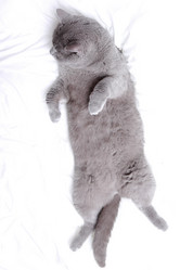 Similar image 11138532