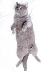 Similar image 11138534