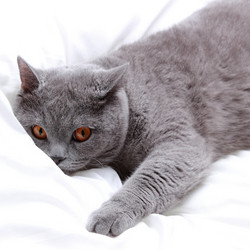 Similar image 11138535