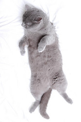 Similar image 11138536