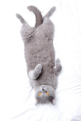 Similar image 11138538