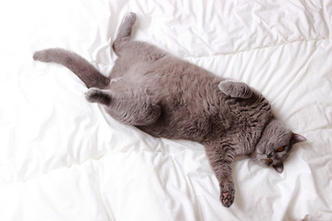 Similar image 11138539