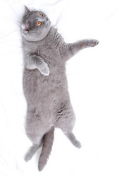 Similar image 11138553