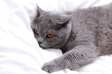 Similar image 11138554