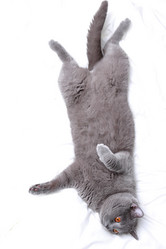 Similar image 11138556