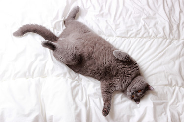 Similar image 11138557