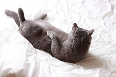 Similar image 11138558