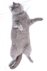 Similar image 11138559