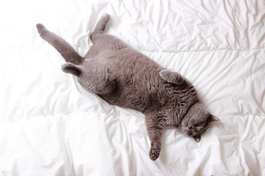 Similar image 11127974