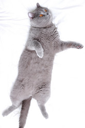 Similar image 11127976