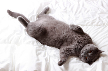 Similar image 11128007