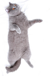 Similar image 11128009