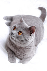 Similar image 11128016