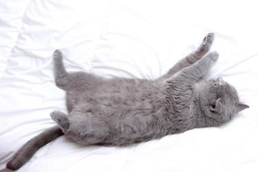 Similar image 11128056