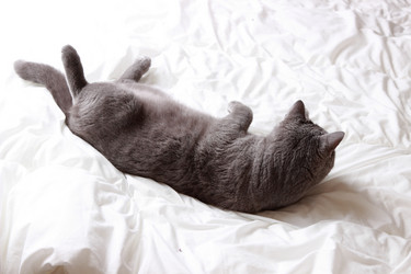 Similar image 11128064