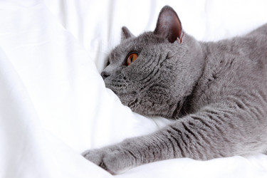 Similar image 11128246