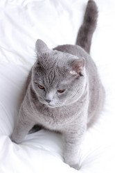 Similar image 11128837