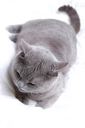 Similar image 11138560