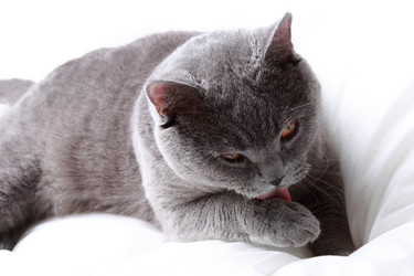 Similar image 11128892