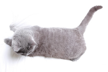 Similar image 11138571