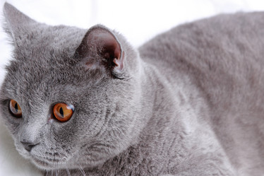 Similar image 11138574