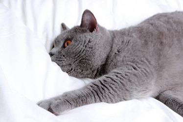 Similar image 11138576