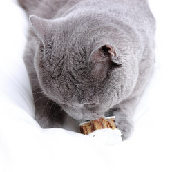 Similar image 11138578