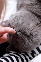 Similar image 11138580