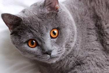 Similar image 11138584