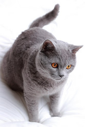 Similar image 11138593