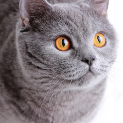 Similar image 11138594