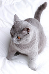 Similar image 11138596