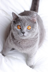 Similar image 11138597