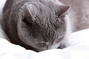 Similar image 11138600