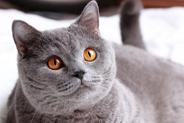 Similar image 11138602