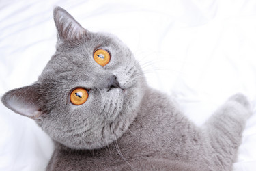 Similar image 11138604