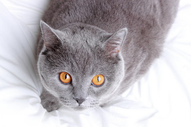 Similar image 11138613