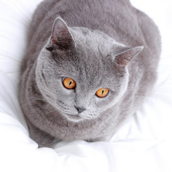 Similar image 11138615