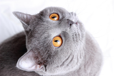 Similar image 11138617