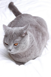 Similar image 11138619