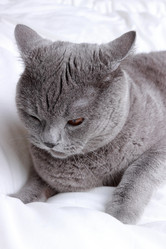 Similar image 11138620